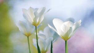 Silent Unity Monats-Meditation / Foto © shotShop