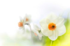 Ostern 2023