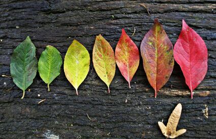 Unity Monatsthema  Okt 25